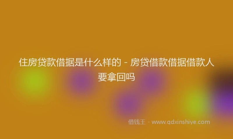 住房贷款借据是什么样的 - 房贷借款借据借款人要拿回吗