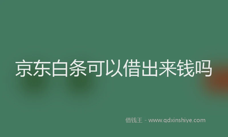 京东白条可以借出来钱吗