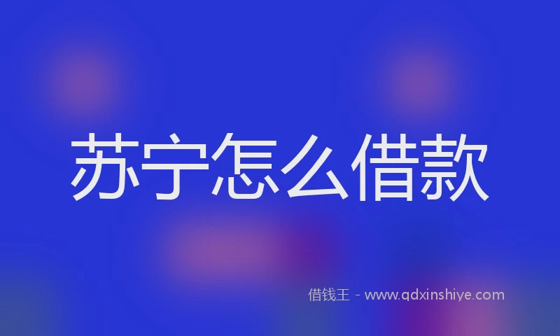 苏宁怎么借款