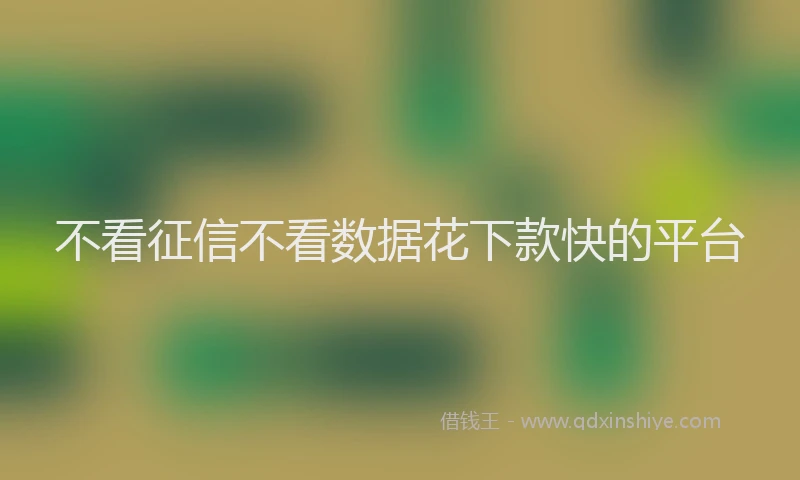 不看征信不看数据花下款快的平台