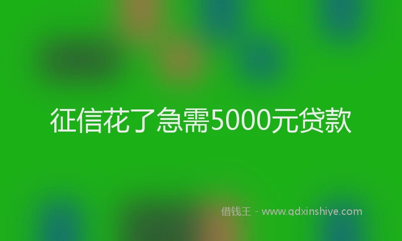 征信花了急需5000元贷款