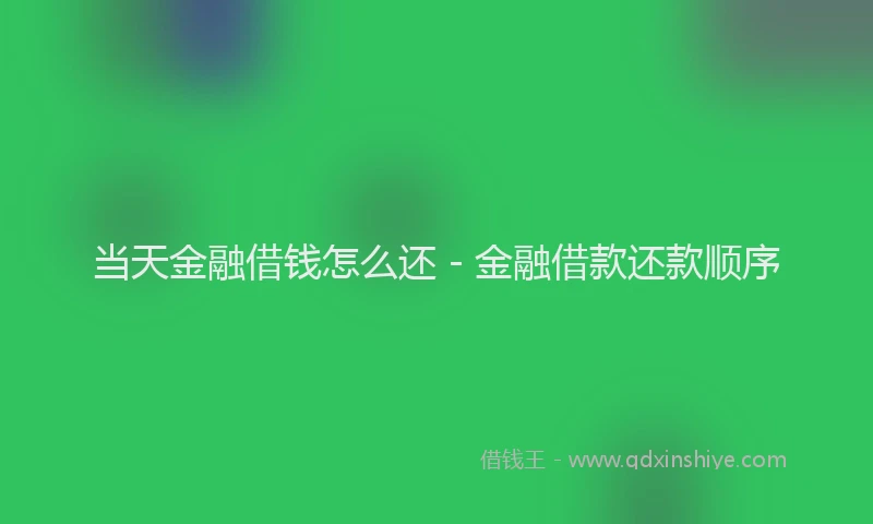 当天金融借钱怎么还 - 金融借款还款顺序
