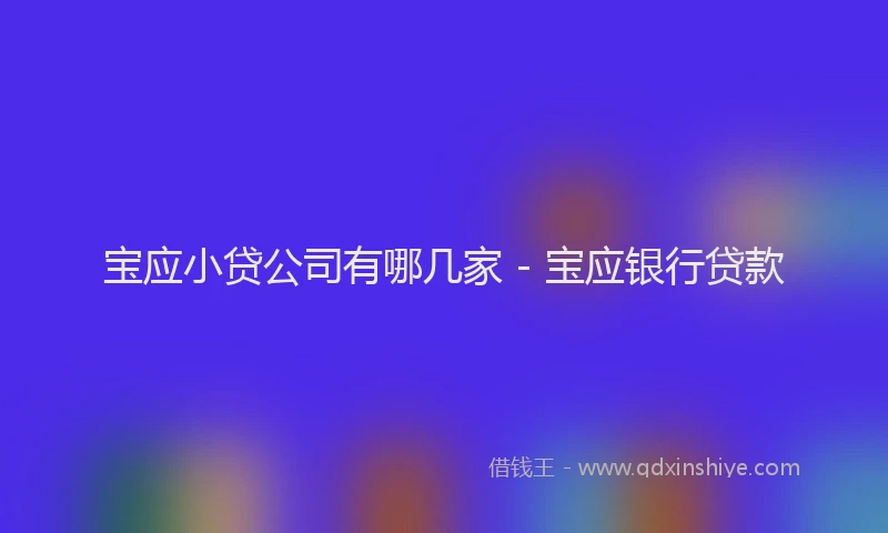 宝应小贷公司有哪几家 - 宝应银行贷款