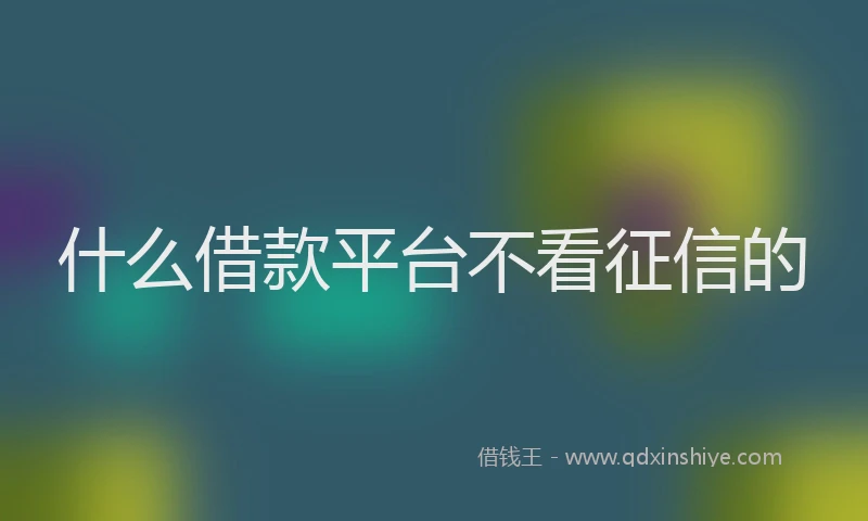 什么借款平台不看征信的