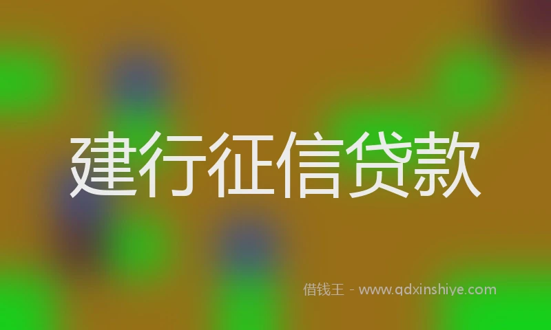 建行征信贷款