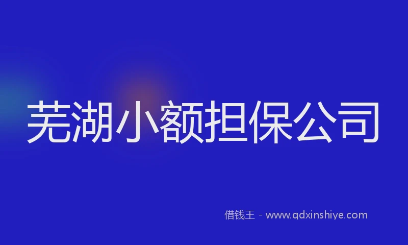 芜湖小额担保公司