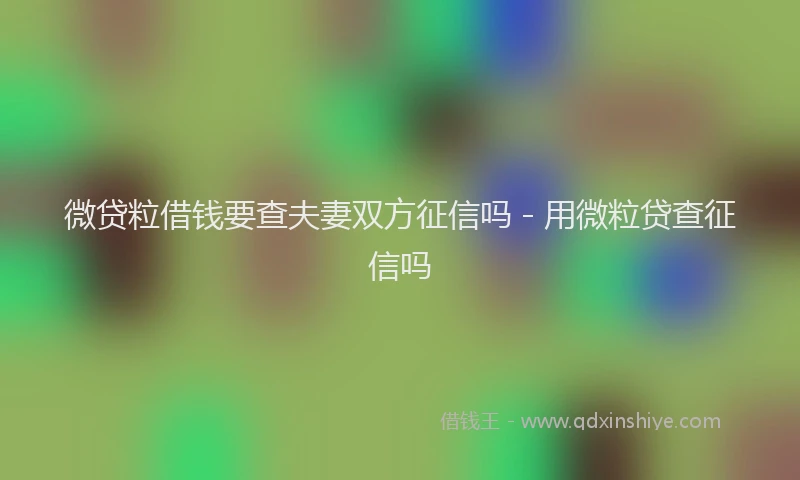 微贷粒借钱要查夫妻双方征信吗 - 用微粒贷查征信吗