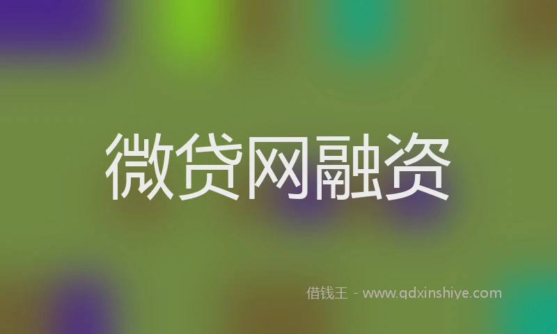微贷网融资