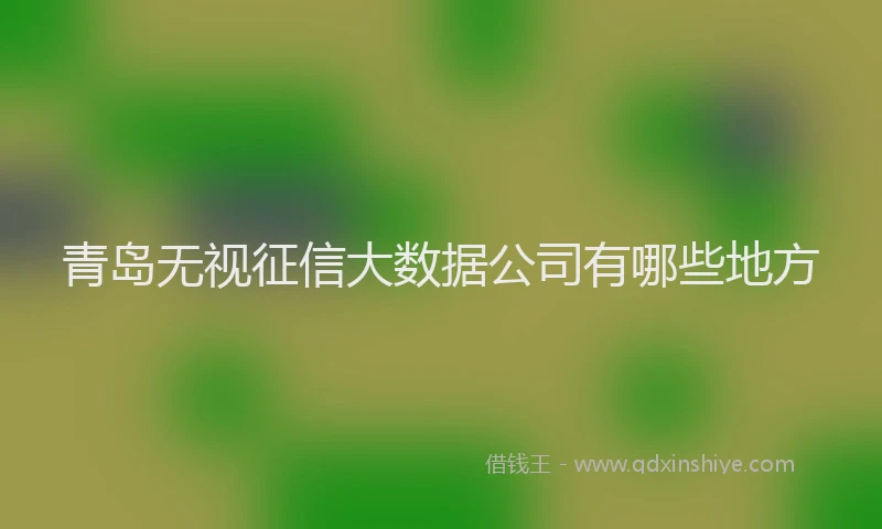 青岛无视征信大数据公司有哪些地方