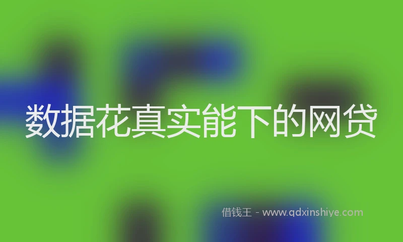 数据花真实能下的网贷