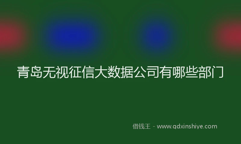青岛无视征信大数据公司有哪些部门