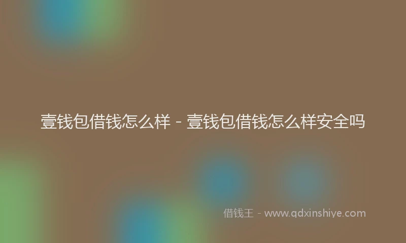 壹钱包借钱怎么样 - 壹钱包借钱怎么样安全吗