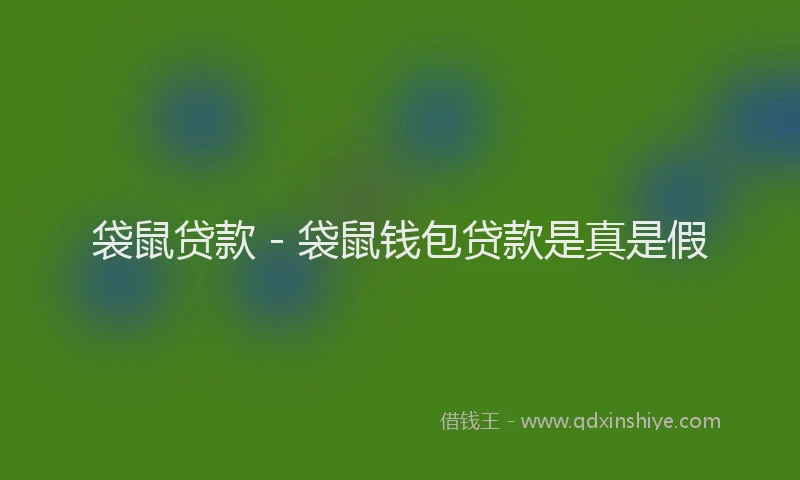 袋鼠贷款 - 袋鼠钱包贷款是真是假