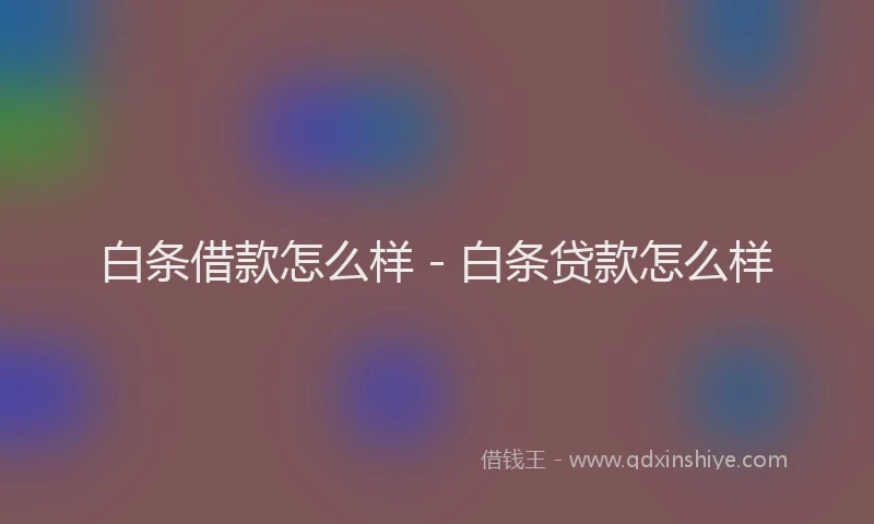 白条借款怎么样 - 白条贷款怎么样