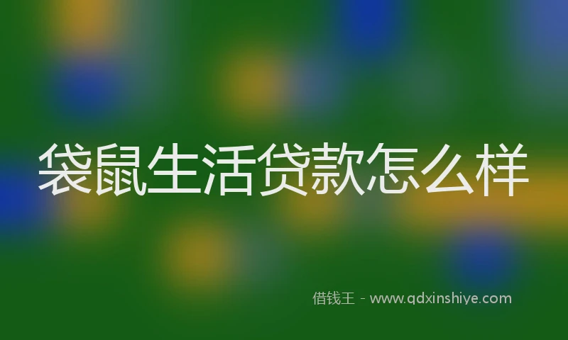 袋鼠生活贷款怎么样