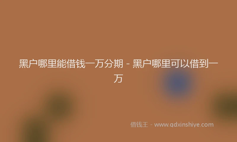 黑户哪里能借钱一万分期 - 黑户哪里可以借到一万
