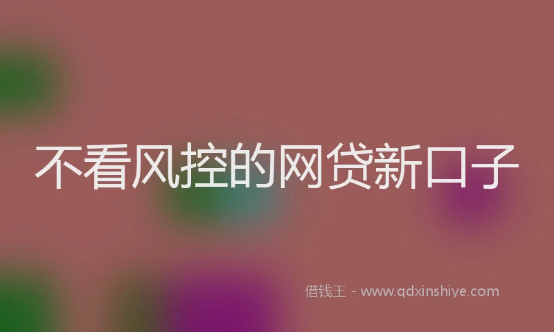 不看风控的网贷新口子