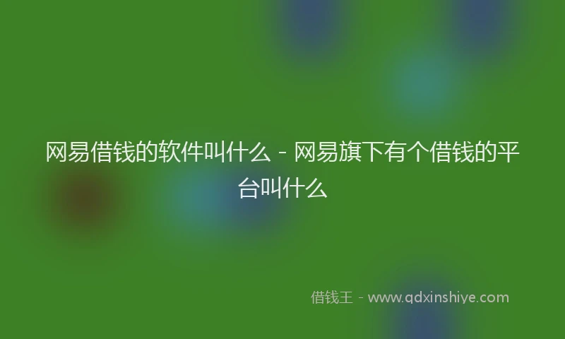 网易借钱的软件叫什么 - 网易旗下有个借钱的平台叫什么