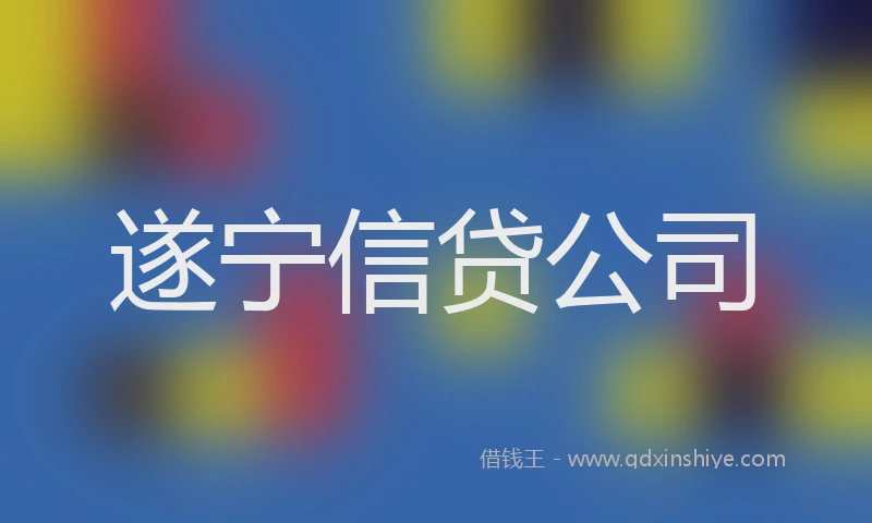 遂宁信贷公司