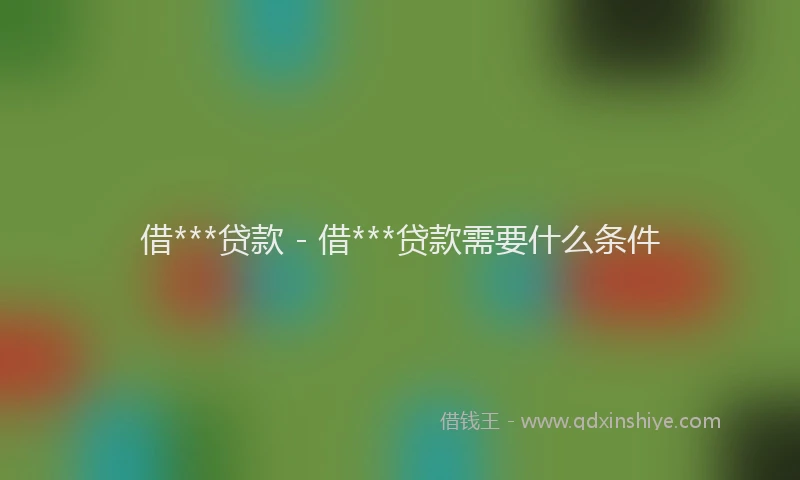 借***贷款 - 借***贷款需要什么条件