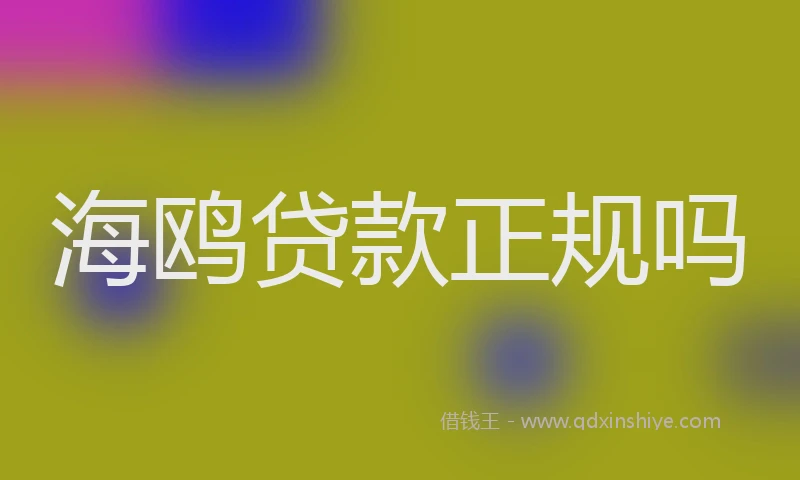 海鸥贷款正规吗