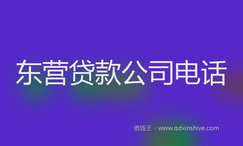 东营贷款公司电话
