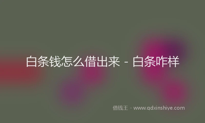 白条钱怎么借出来 - 白条咋样