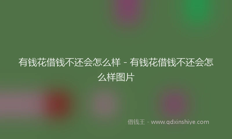 有钱花借钱不还会怎么样 - 有钱花借钱不还会怎么样图片