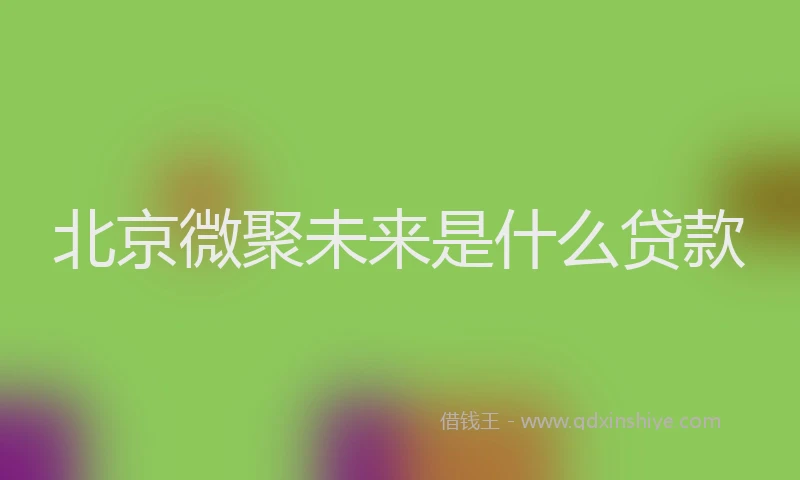 北京微聚未来是什么贷款