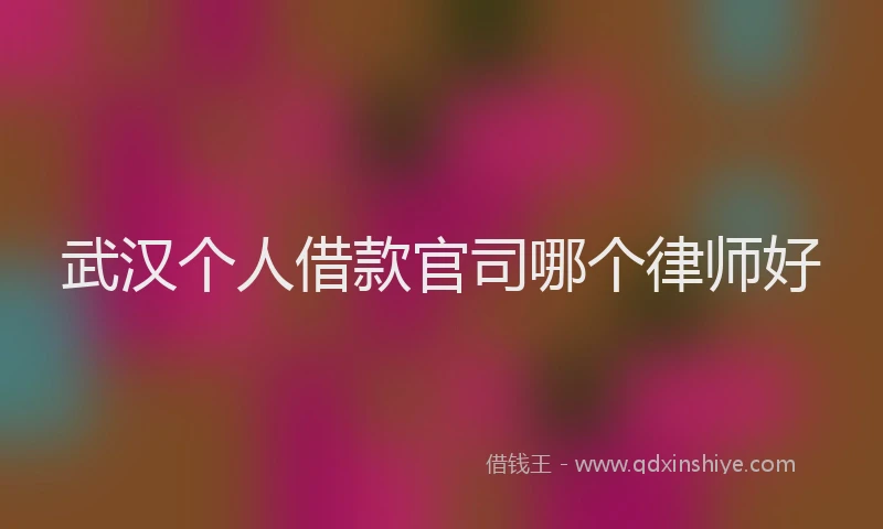 武汉个人借款官司哪个律师好