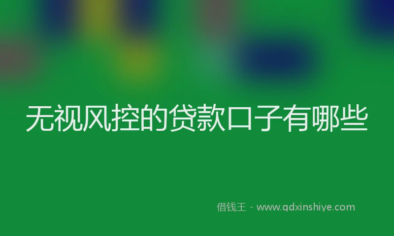 无视风控的贷款口子有哪些