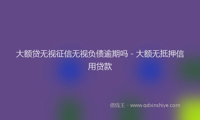 大额贷无视征信无视负债逾期吗 - 大额无抵押信用贷款