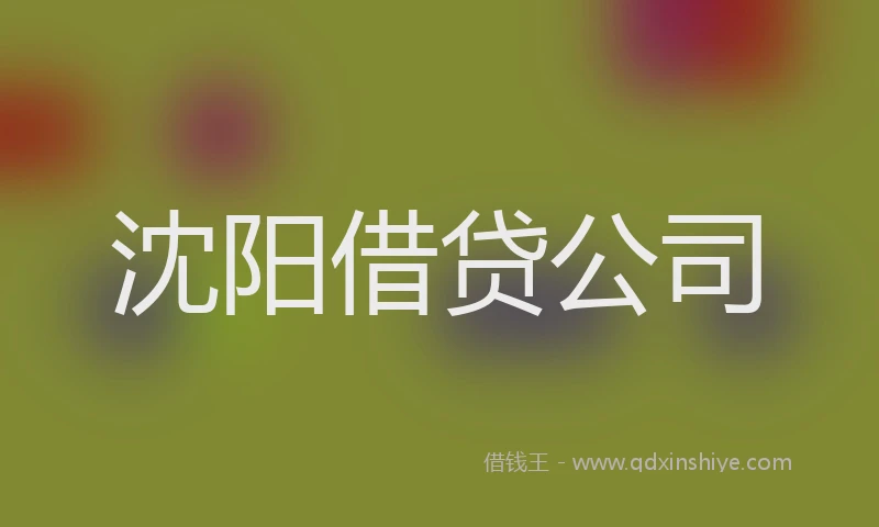 沈阳借贷公司