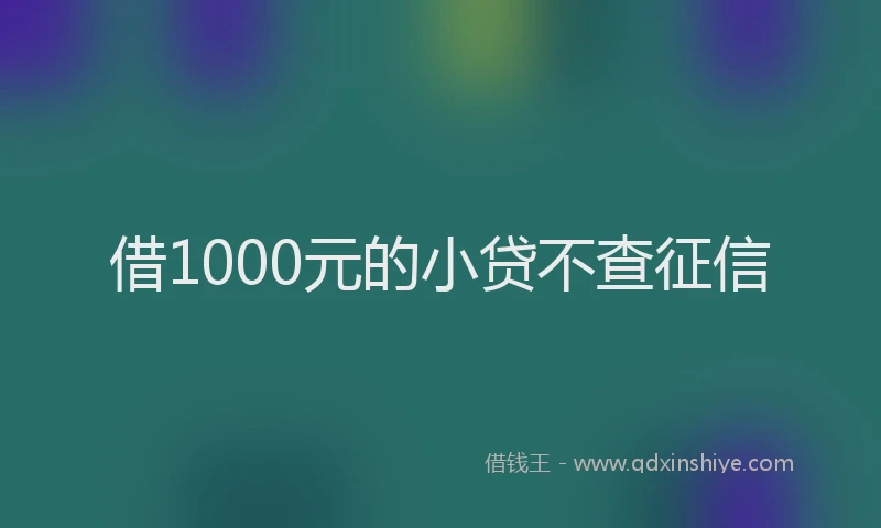 借1000元的小贷不查征信