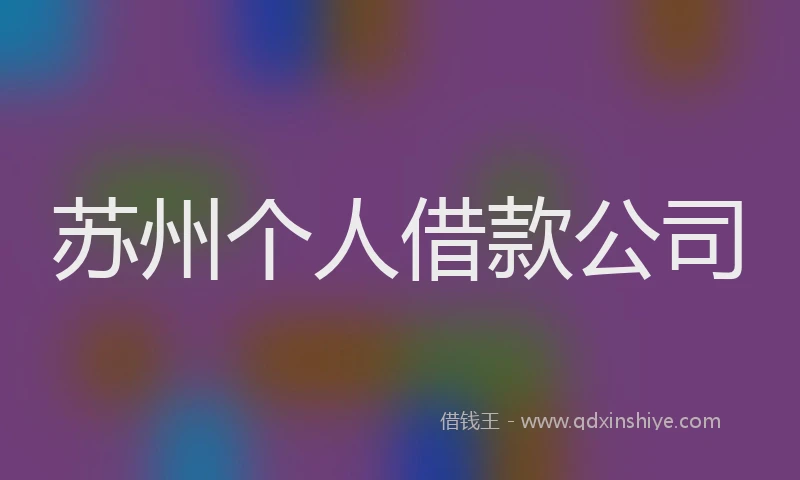 苏州个人借款公司