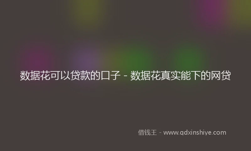 数据花可以贷款的口子 - 数据花真实能下的网贷