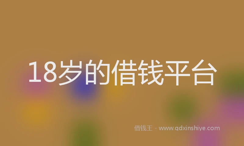 18岁的借钱平台