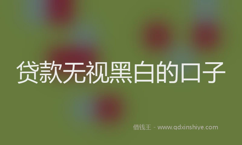 贷款无视黑白的口子