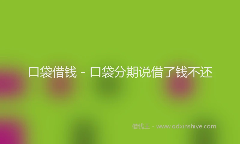 口袋借钱 - 口袋分期说借了钱不还