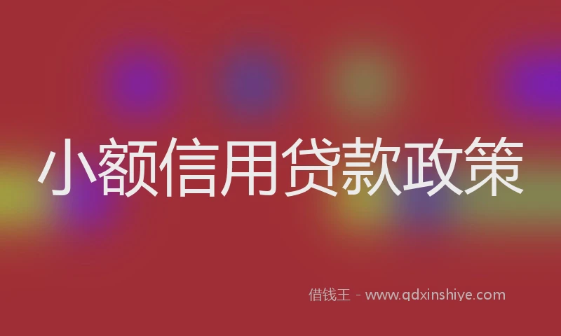 小额信用贷款政策