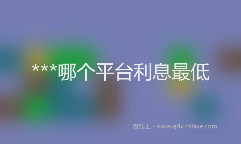 ***哪个平台利息最低