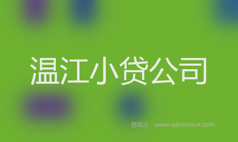 温江小贷公司