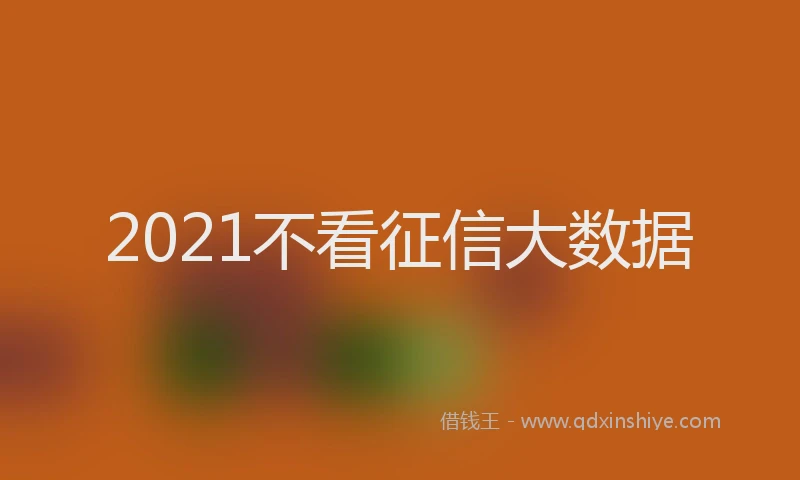 2021不看征信大数据