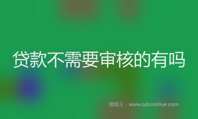 贷款不需要审核的有吗