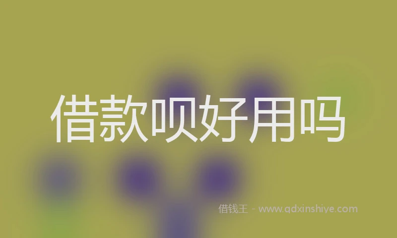 借款呗好用吗