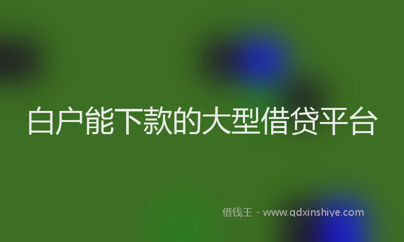 白户能下款的大型借贷平台