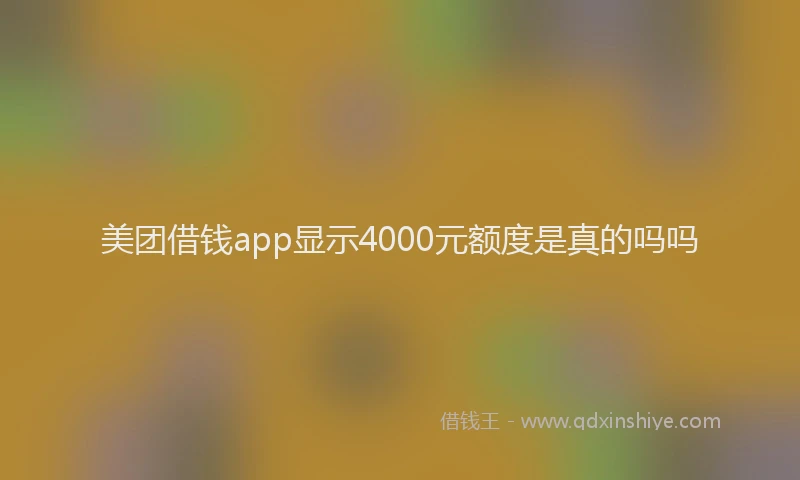 美团借钱app显示4000元额度是真的吗吗