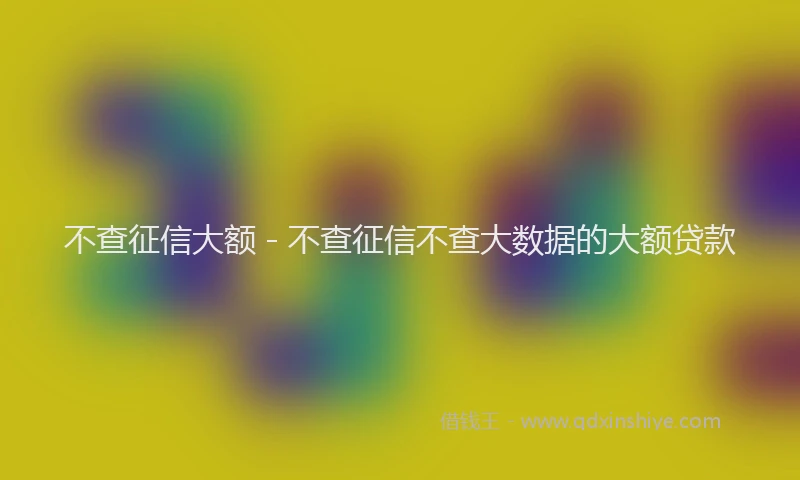 不查征信大额 - 不查征信不查大数据的大额贷款