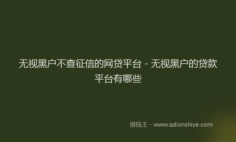 无视黑户不查征信的网贷平台 - 无视黑户的贷款平台有哪些