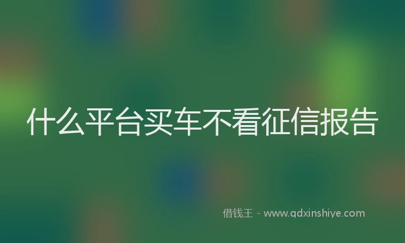 什么平台买车不看征信报告